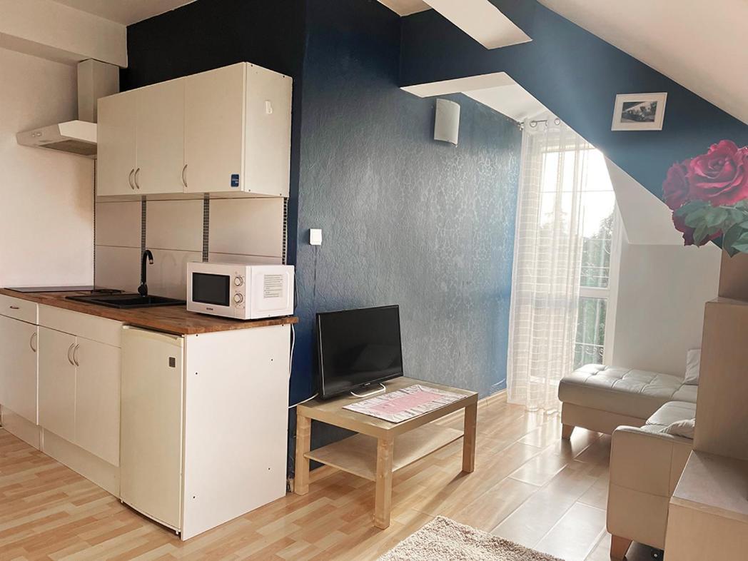 Apartament Maria クラクフ エクステリア 写真