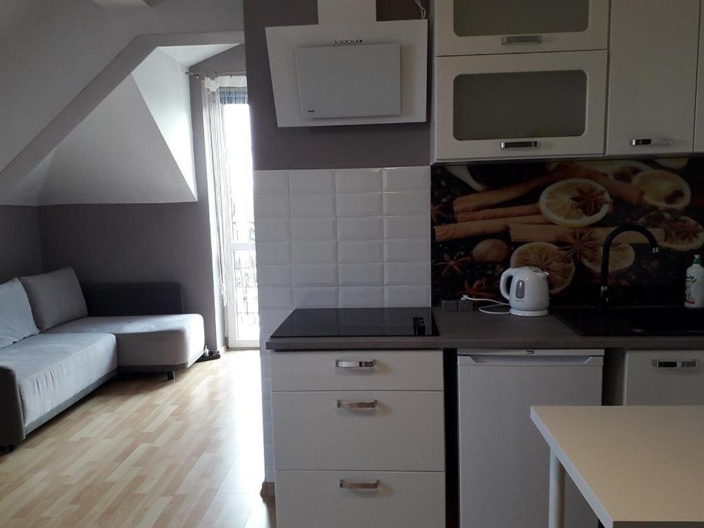Apartament Maria クラクフ エクステリア 写真